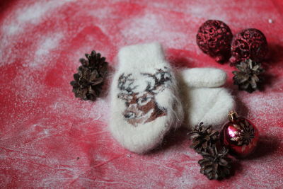 High angle view of fruits