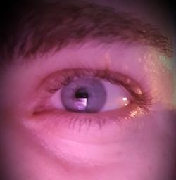 Close-up of human eye