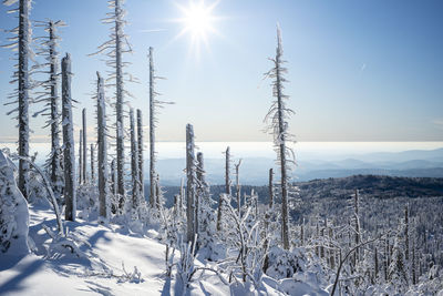 Scenic view of snow covered land against sky