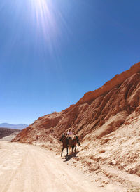 Man riding horse at atacama desert on sunny day