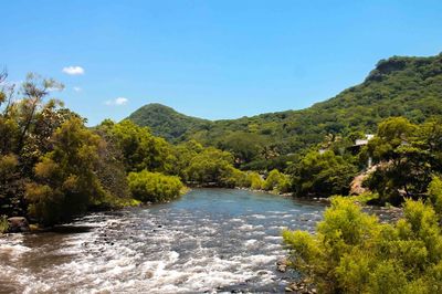 Scenic view of river amidst trees against sky