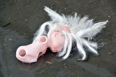 Close-up of broken doll