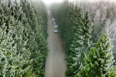 High angle view of road amidst trees in forest