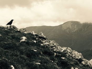 Scenic view of mountain against sky