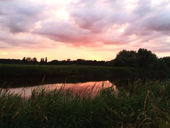 Scenic view of landscape against cloudy sky