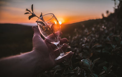 Close-up of hand holding wineglass against sky during sunset