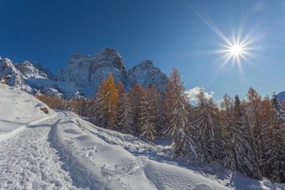 Snowy path towards alpine hut with orange larches and mount pelmo northern side in a sunny day