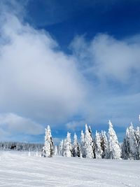 Scenic view of snowcapped landscape against sky