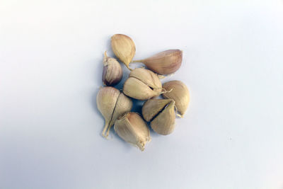 High angle view of cookies against white background