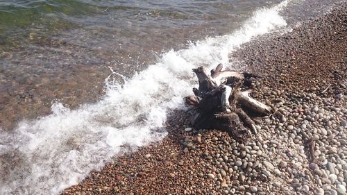 Waves splashing on rocks