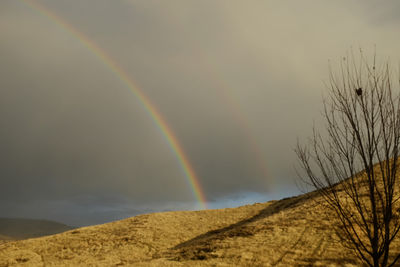 Scenic view of rainbow over landscape against sky