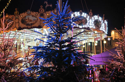 Illuminated christmas tree at night