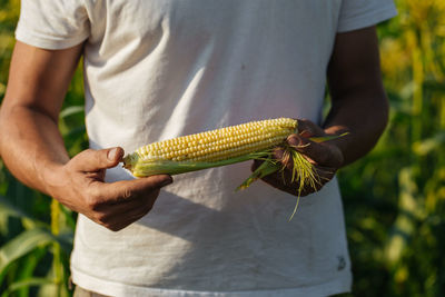 Midsection of man holding corn outdoors