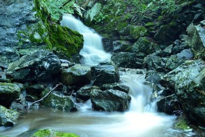 Scenic view of waterfall in forest