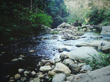 Rocks in water