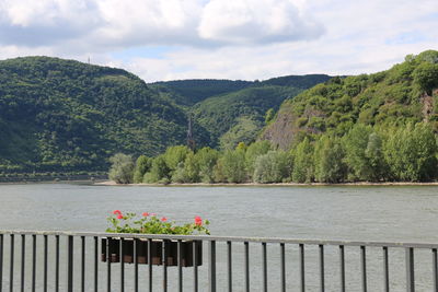 Scenic view of lake by trees against sky