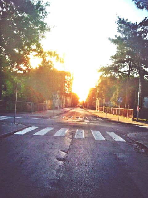 transportation, road, sun, sunset, tree, the way forward, diminishing perspective, sunlight, road marking, street, car, vanishing point, sunbeam, lens flare, sky, orange color, clear sky, land vehicle, mode of transport, asphalt