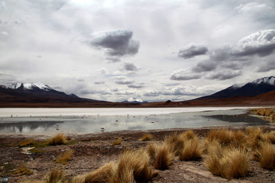 Scenic view of lake against cloudy sky