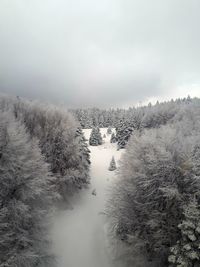 High angle view of snow covered plants against sky