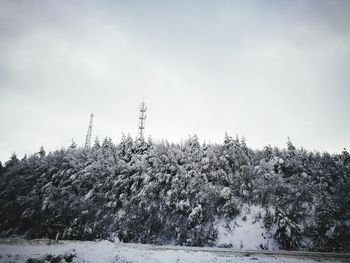 Snow covered trees against sky