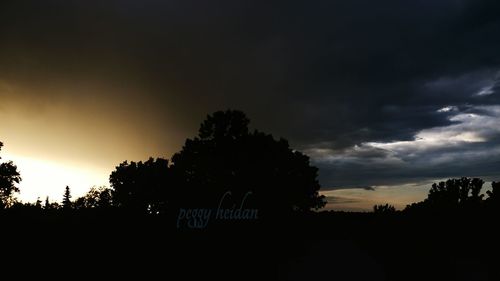 Silhouette of trees at sunset