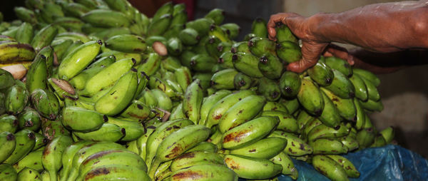 Close-up of hand holding fruit at the market