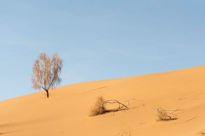 Scenic view of desert against sky