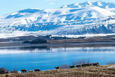 Scenic view of snowcapped mountains by lake against sky