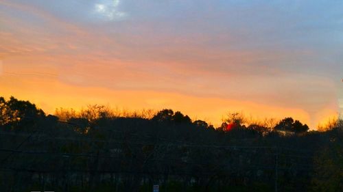 Silhouette trees against sky during sunset