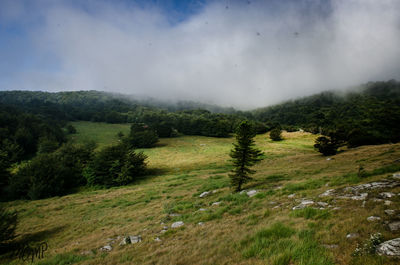 Scenic view of landscape against sky