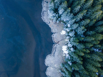 High angle view of sea and trees during winter