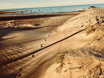 High angle view of footprints on beach