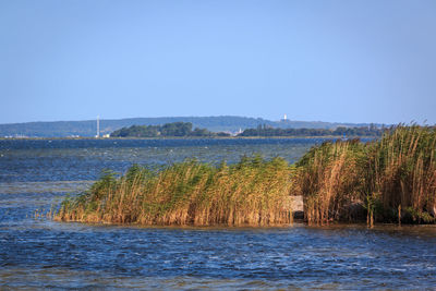 Scenic view of sea against clear blue sky