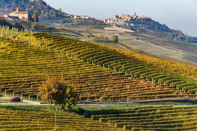 Scenic landscape of langhe vineyards during autumn with the town of la morra, piedmont, italy