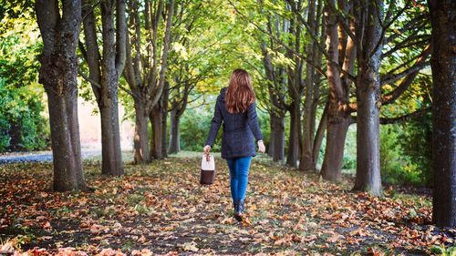 Rear view of woman walking on leaves in forest