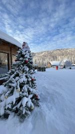 winter
