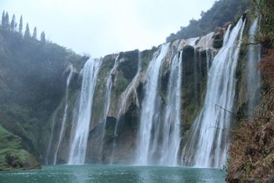 Scenic view of waterfall in forest