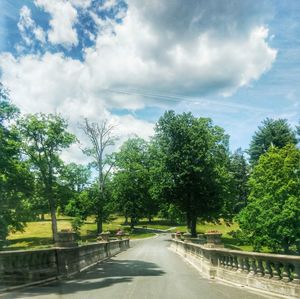 Road amidst trees against cloudy sky