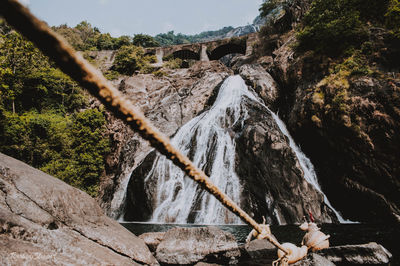 Scenic view of waterfall