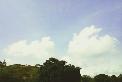 Low angle view of trees against sky