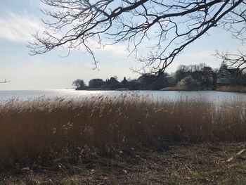 Scenic view of lake against sky