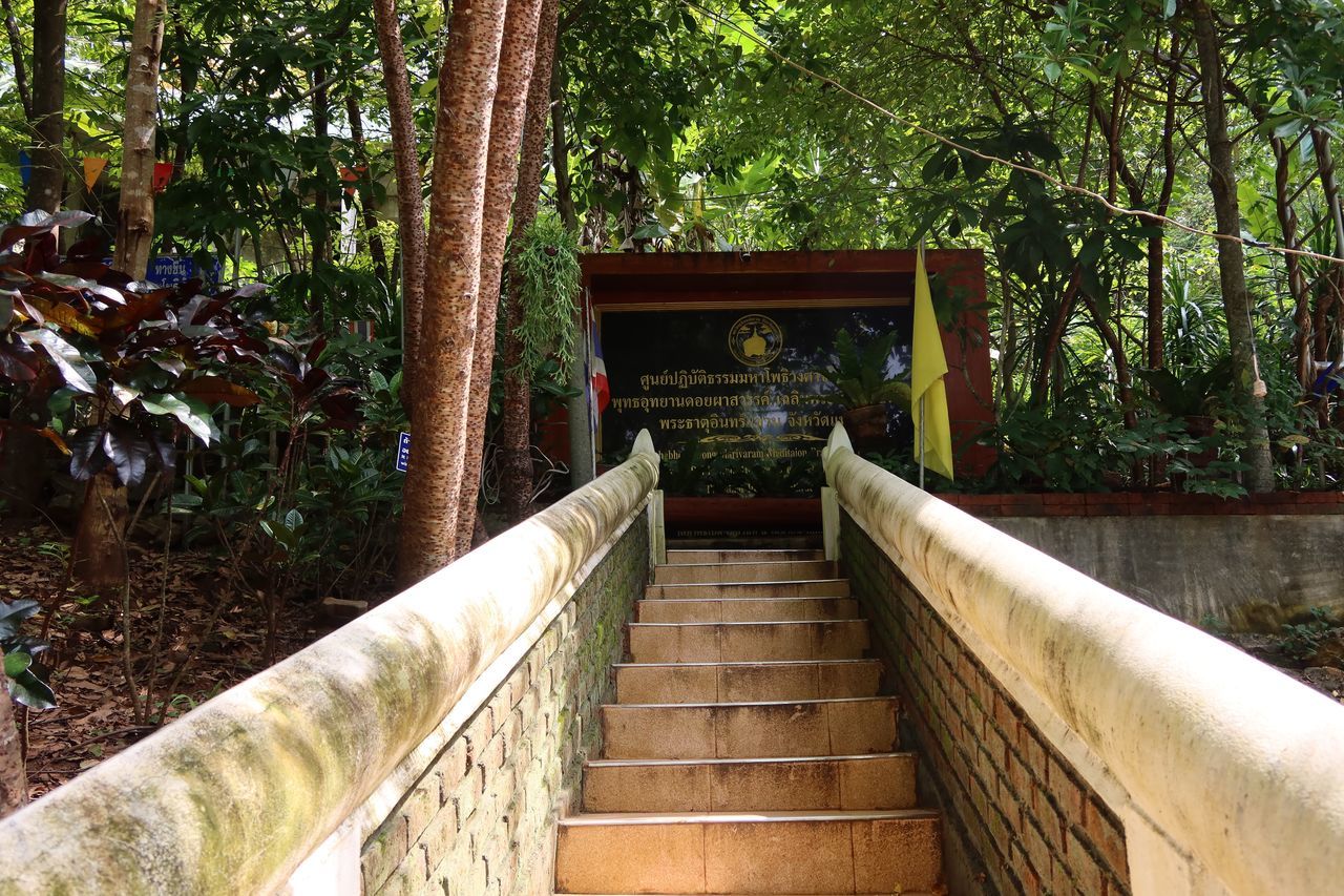 STAIRCASE LEADING TO FOREST