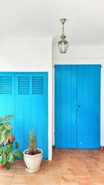 Potted plants on wall