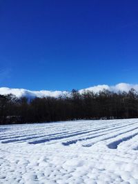 Scenic view of snow covered landscape