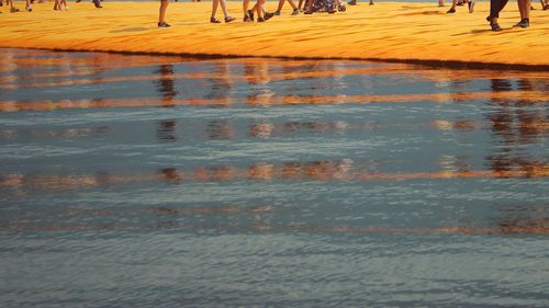 Reflection of trees in water