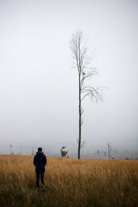 Rear view of woman standing on grassy land during foggy weather
