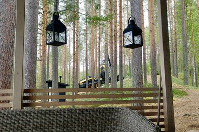 View of a bird against the wall