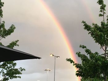 Low angle view of rainbow over trees