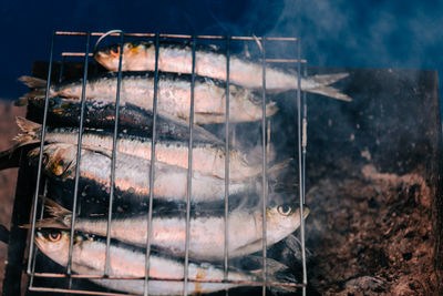 Close-up of fish on barbecue grill