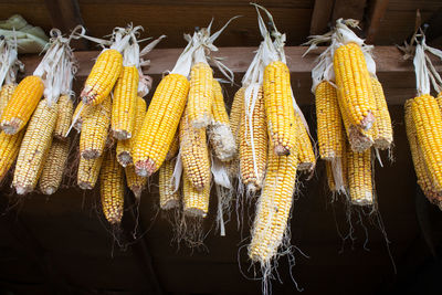 Close-up of yellow for sale in market